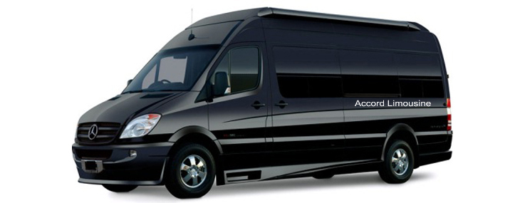 Luxury Minibus